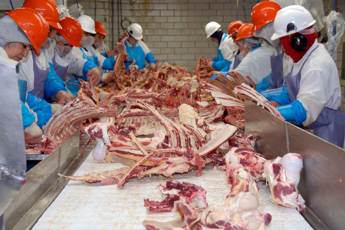 UFCW Calls on All U.S. Governors to Enforce CDC Guidelines to Protect Food Supply and Meatpacking Workers From Coronavirus Outbreak